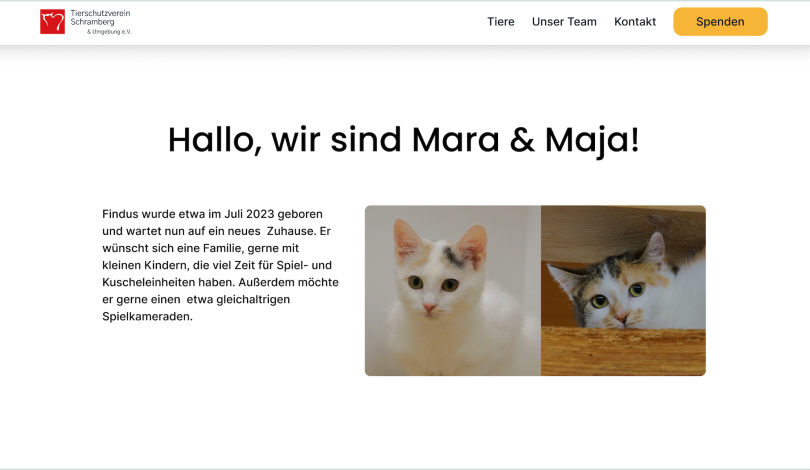 Yoshie's website design for Tierschutzverein Schramberg, showing the details of two cats waiting to be adopted.